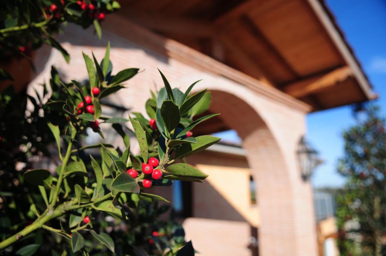 Bed and Breakfast Poggio Dei Cavalieri Boccea Zewnętrze zdjęcie